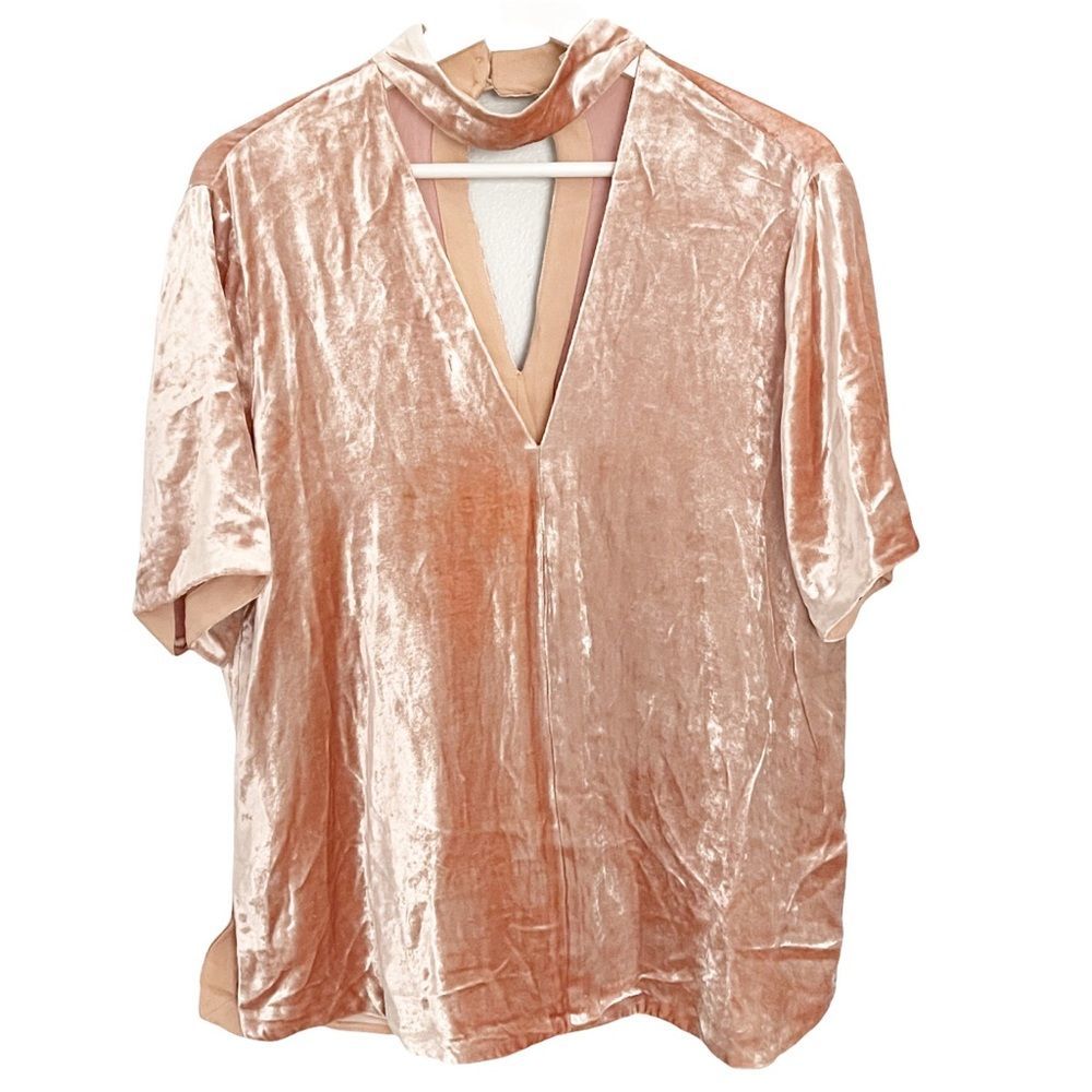 Revolve A.L.C. Blaise Blush Velvet Choker Blouse